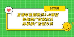 （9692期）直通车收割玩法2.0课程：智能推广收割方法+标准推广收割方法（20节课）-黑斯坦丁项目网