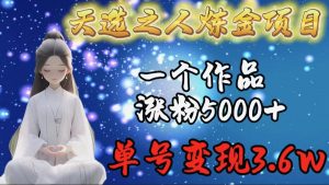 （9693期）天选之人炼金项目，一个作品涨粉5000+，单号变现3.6w-黑斯坦丁项目网