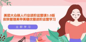 （9740期）美团大众-丽人行业 进阶运营课3.0版，皮肤管理美甲美睫纹眉进阶运营学习-黑斯坦丁项目网