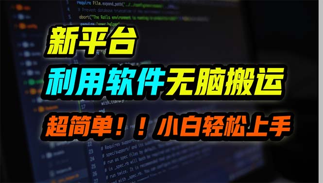 （9745期）新平台用软件无脑搬运，月赚10000+，小白也能轻松上手-黑斯坦丁项目网