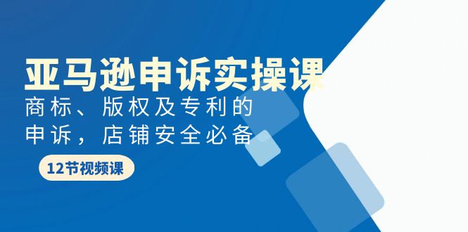 （9754期）亚马逊-申诉实战课，​商标、版权及专利的申诉，店铺安全必备-黑斯坦丁项目网