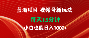 （9813期）蓝海项目视频号新玩法 每天15分钟 小白也能日入1000+-黑斯坦丁项目网