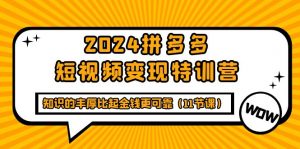 (9817期)2024拼多多短视频变现特训营,知识的丰厚比起金钱更可靠(11节课)-黑斯坦丁项目网