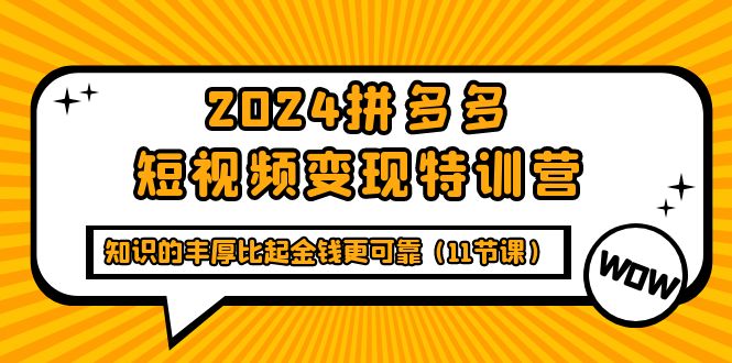 （9817期）2024拼多多短视频变现特训营，知识的丰厚比起金钱更可靠（11节课）-黑斯坦丁项目网
