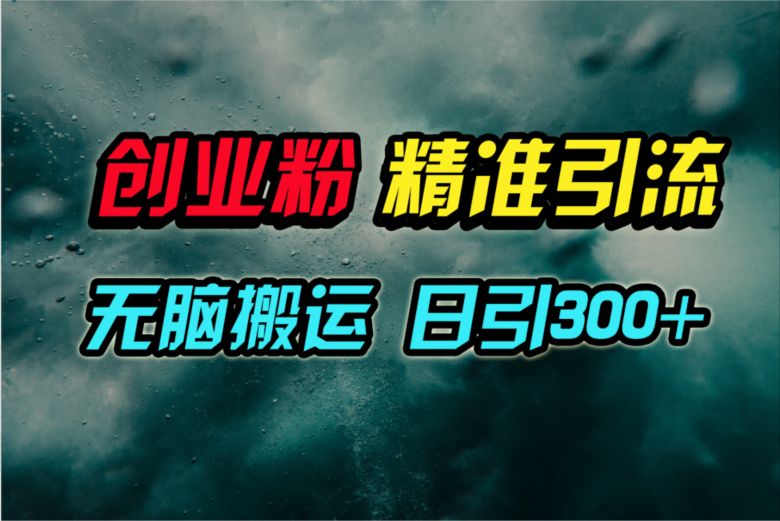 （9875期）视频号纯搬运日引300+创业粉教程！-黑斯坦丁项目网