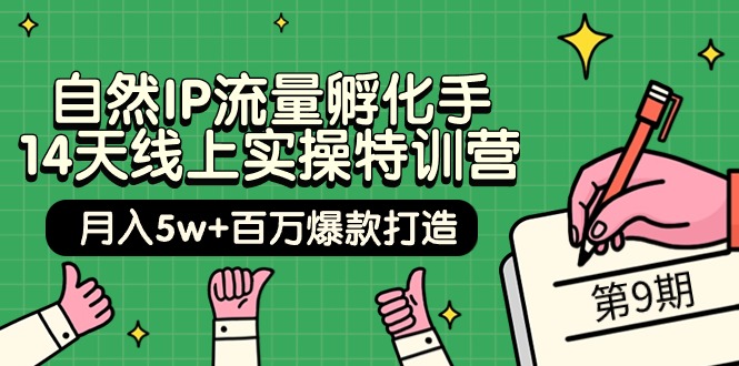 （9881期）自然IP流量孵化手 14天线上实操特训营【第9期】月入5w+百万爆款打造 (74节)-黑斯坦丁项目网
