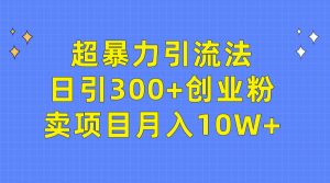 (9954期)超暴力引流法,日引300+创业粉,卖项目月入10W+-黑斯坦丁项目网