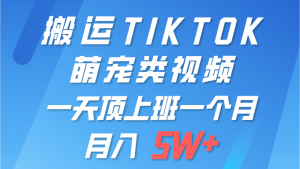 (9931期)一键搬运TIKTOK萌宠类视频 一部手机即可操作 所有平台均可发布 轻松月入5W+-黑斯坦丁项目网