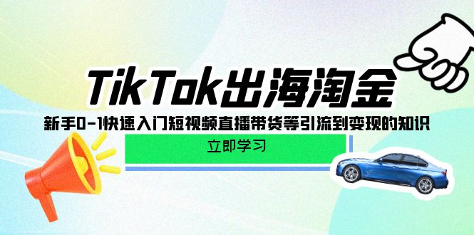 (10035期)TikTok-出海淘金,新手0-1快速入门短视频直播带货等引流到变现的知识-黑斯坦丁项目网