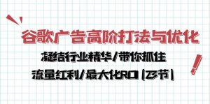 （10287期）谷歌广告高阶打法与优化，凝结行业精华/带你抓住流量红利/最大化ROI(23节)-黑斯坦丁项目网