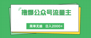 （10310期）撸爆公众号流量主，简单无脑，单日变现2000+-黑斯坦丁项目网