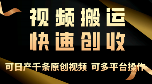 (10417期)一步一步教你赚大钱!仅视频搬运,月入3万+,轻松上手,打通思维,处处…-黑斯坦丁项目网