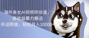 (10593期)海外美女AI视频转动漫,高收益暴力搬运,听话照做,轻松月入10000+-黑斯坦丁项目网