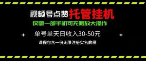 （10644期）视频号点赞托管挂机，单号单天利润30~50，一部手机无限放大（附带无限…-黑斯坦丁项目网