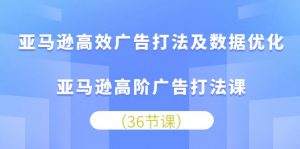 (10649期)亚马逊高效广告打法及数据优化,亚马逊高阶广告打法课-黑斯坦丁项目网