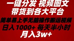 （10667期）2024年 一键分发带货图文视频  简单易上手 无脑赚收益 每天半小时日入1…-黑斯坦丁项目网