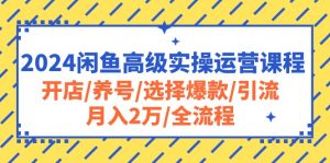 （10711期）2024闲鱼高级实操运营课程：开店/养号/选择爆款/引流/月入2万/全流程-黑斯坦丁项目网