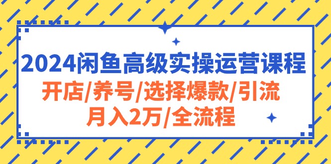 （10711期）2024闲鱼高级实操运营课程：开店/养号/选择爆款/引流/月入2万/全流程-黑斯坦丁项目网