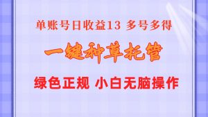 （10776期）一键种草托管 单账号日收益13元  10个账号一天130  绿色稳定 可无限推广-黑斯坦丁项目网