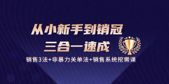 （10799期）从小新手到销冠 三合一速成：销售3法+非暴力关单法+销售系统挖需课 (27节)-黑斯坦丁项目网