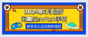 (10831期)2024年6月最新闲鱼卖switch游戏手柄,新手月入过万的第一个好项目-黑斯坦丁项目网
