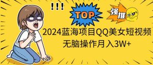 （10862期）2024蓝海项目QQ美女短视频无脑操作月入3W+-黑斯坦丁项目网