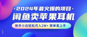 （10863期）2024年最火爆的项目，闲鱼卖苹果耳机，新手小白轻松月入2W+简单易上手-黑斯坦丁项目网