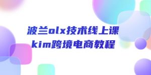 （10967期）波兰olx 技术线上课，kim跨境电商教程-黑斯坦丁项目网