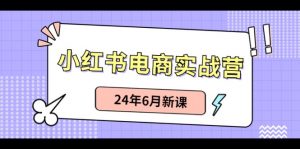(10984期)小红书电商实战营:小红书笔记带货和无人直播,24年6月新课-黑斯坦丁项目网