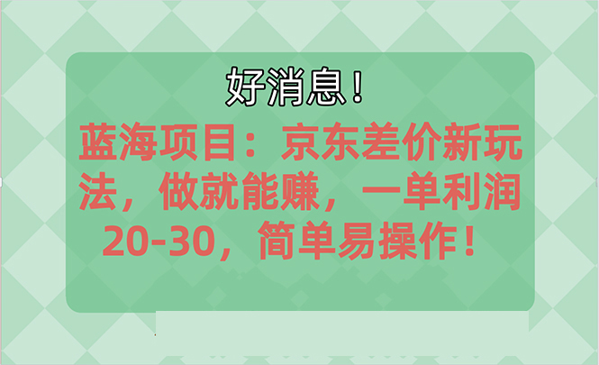 （10989期）越早知道越能赚到钱的蓝海项目：京东大平台操作，一单利润20-30，简单…-黑斯坦丁项目网
