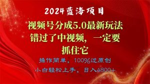 （11032期）2024蓝海项目，视频号分成计划5.0最新玩法，错过了中视频，一定要抓住…-黑斯坦丁项目网