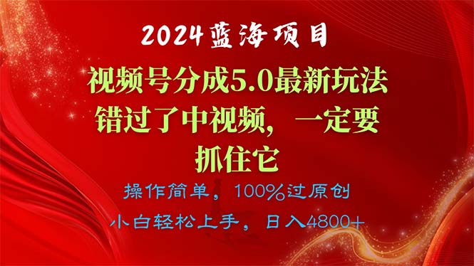 （11032期）2024蓝海项目，视频号分成计划5.0最新玩法，错过了中视频，一定要抓住…-黑斯坦丁项目网