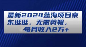 （11041期）最新2024蓝海项目京东逛逛，无需剪辑，每月收入2万+-黑斯坦丁项目网
