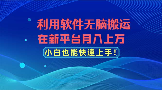 （11078期）利用软件无脑搬运，在新平台月入上万，小白也能快速上手-黑斯坦丁项目网