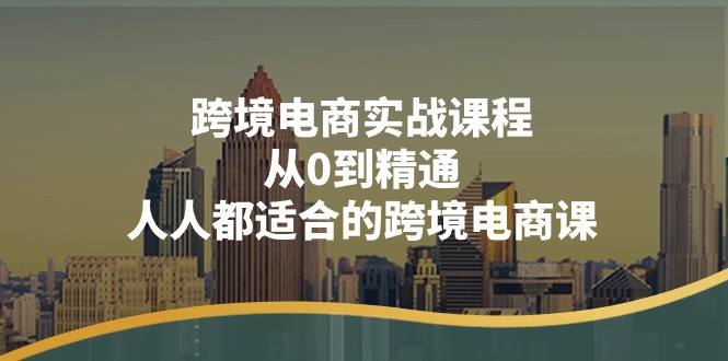 (11183期)跨境电商实战课程:从0到精通,人人都适合的跨境电商课(14节课)-黑斯坦丁项目网