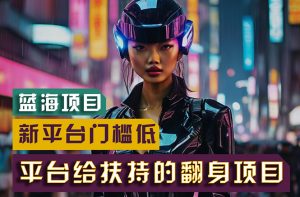 （11244期）【蓝海项目】新平台无脑搬运，翻身项目 门槛低 小白也能轻松上手 日入500+-黑斯坦丁项目网