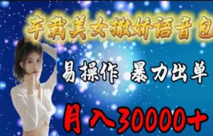 (11249期)车载美女撒娇语音包,执行就出单,月入3000+,小白看完课程就能马上实操-黑斯坦丁项目网