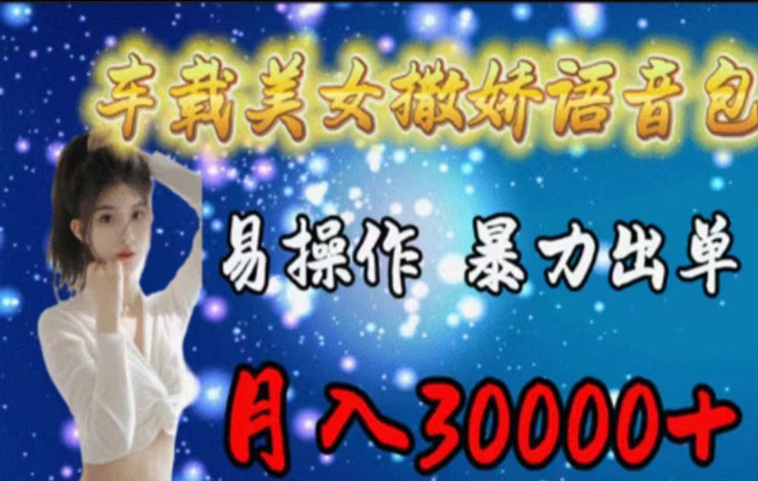 (11249期)车载美女撒娇语音包,执行就出单,月入3000+,小白看完课程就能马上实操-黑斯坦丁项目网