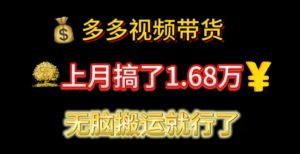 (11269期)多多视频带货:上月搞了1.68万,无脑搬运就行了-黑斯坦丁项目网