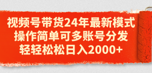 (11281期)视频号带货24年最新模式,操作简单可多账号分发,轻轻松松日入2000+-黑斯坦丁项目网