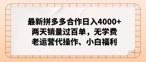 （11343期）最新拼多多合作日入4000+两天销量过百单，无学费、老运营代操作、小白福利-黑斯坦丁项目网