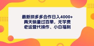 （11410期）最新拼多多项目日入4000+两天销量过百单，无学费、老运营代操作、小白福利-黑斯坦丁项目网