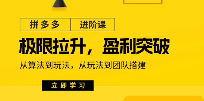 （11435期）拼多多·进阶课：极限拉升/盈利突破：从算法到玩法 从玩法到团队搭建-18节-黑斯坦丁项目网