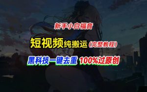 （11442期）中视频计划纯搬运，黑科技一键去重过原创，新手小白福音，轻松日入大几百-黑斯坦丁项目网