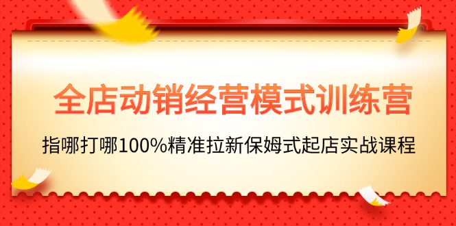(11460期)全店动销-经营模式训练营,指哪打哪100%精准拉新保姆式起店实战课程-黑斯坦丁项目网