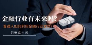(11499期)某付费文章:金融行业有未来吗?普通人如何利用金融行业发财?(附财富密码)-黑斯坦丁项目网