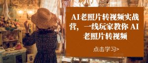（11477期）AI老照片转视频实操训练营，一线玩家教你AI老照片转视频-黑斯坦丁项目网