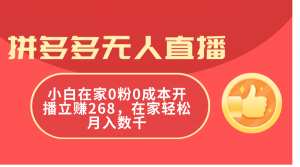（11521期）拼多多无人直播，小白在家0粉0成本开播立赚268，在家轻松月入数千-黑斯坦丁项目网
