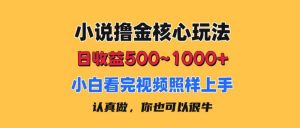 （11461期）小说撸金核心玩法，日收益500-1000+，小白看完照样上手，0成本有手就行-黑斯坦丁项目网