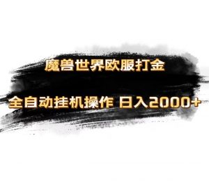 （11407期）魔兽世界欧服最新玩法，单机日入1000+，矩阵操作，多开多得-黑斯坦丁项目网